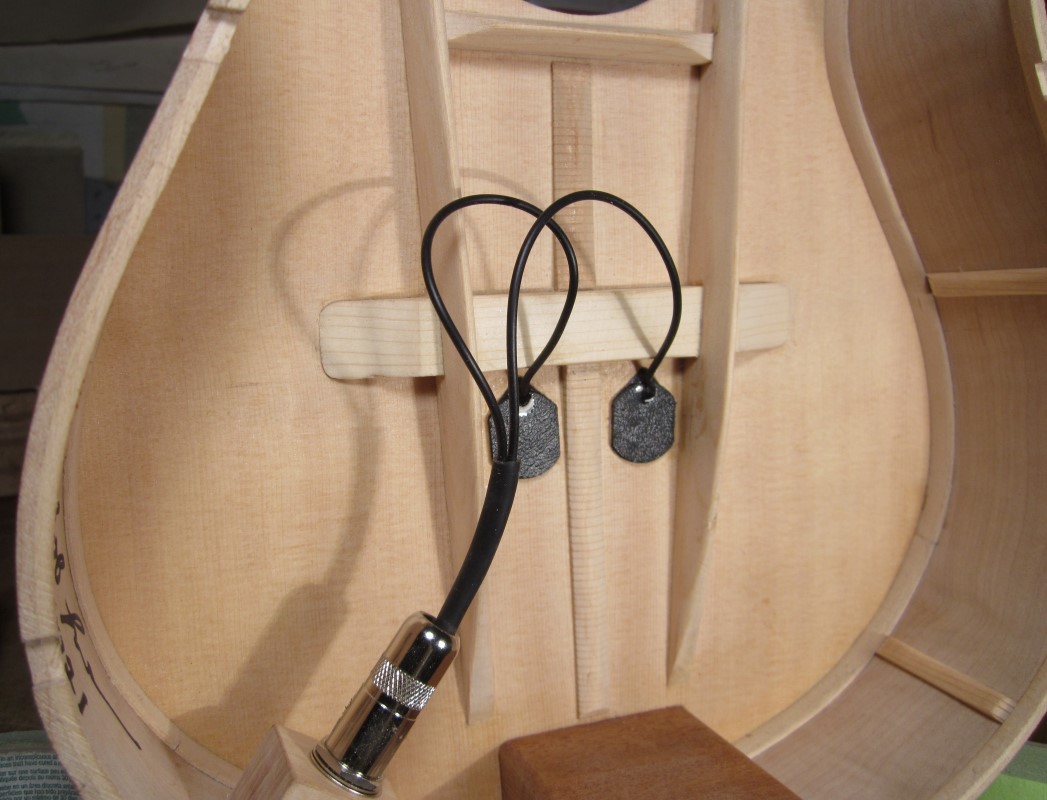 laughlin mandolin bracing